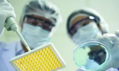 北京經開區 從仿制到創新，生物醫藥產業的技術開發如何擦亮“創新底色”